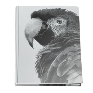 NOTEBOOK - НАТАТНIК Попугай-00477