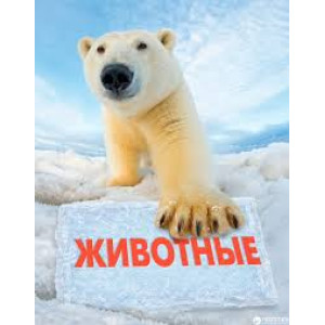 Животные. Полная энциклопедия Животные. Полная энциклопедия