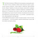 Мишеняткова арифметика Мишеняткова арифметика
