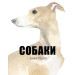 Собаки в мистецтві