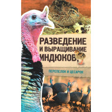 Разведение и выращивание индюков, перепелок и цесарок