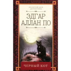 Черный кот