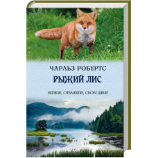Рыжий лис
