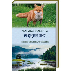 Рыжий лис Рыжий лис