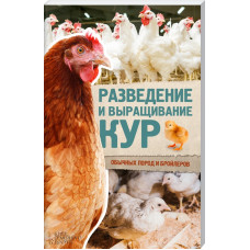 Разведение и выращивание кур обычных пород и бройлеров