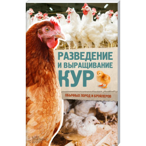 Разведение и выращивание кур обычных пород и бройлеров