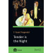Tender is the Night