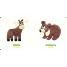 Старого лева. Лісові звірі. Forest animals