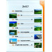 Талант. Енциклопедія для допитливих А5: .Рослини і тварини України А5 укр Талант. Енциклопедія для допитливих А5: .Рослини і тварини України А5 укр