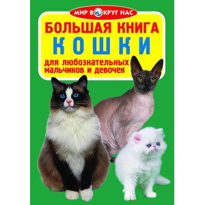 БАО. Большая книга. Кошки БАО. Большая книга. Кошки