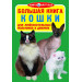 БАО. Большая книга. Кошки