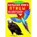 БАО. Большая книга. Птицы