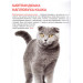 БАО. Велика книжка. Кішки (код 57-9)