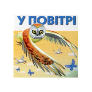 Розумна дитина. У повітрі (Розумна дитина) Розумна дитина. У повітрі (Розумна дитина)