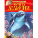 Перо. Кити і дельфіни