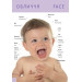 Перша книга малюка / Baby's first book Перша книга малюка / Baby's first book