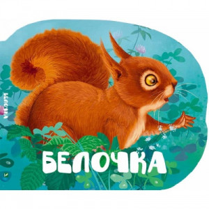 Белочка Белочка