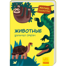 Малятко, подивись!: Тварини далеких країн (р) Ранок А1040003Р (9789667493462) (310997)