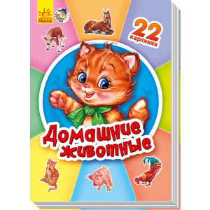 22 картинки (нові): Домашние животные (р) 22 картинки (нові): Домашние животные (р)