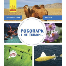 Робопарк і не тільки… Рівень 4