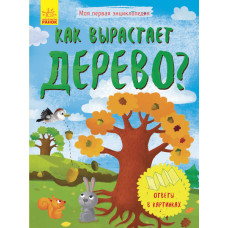 Як виростає дерево?