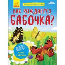 Як народжується метелик?
