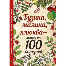 Бузина, малина, клюква - лекари от 100 болезней