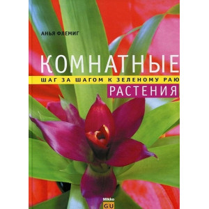 Комнатные растения: шаг за шагом к зелен