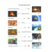 Наша планета РУС Наша планета РУС