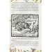 Казка про містера Лиса. Казка про місіс Кольколь Казка про містера Лиса. Казка про місіс Кольколь