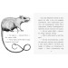 Книга Читальня. Не той хлопчик. Рівень 3 (Укр) Ранок С786015У (9786170949349) (309662) Книга Читальня. Не той хлопчик. Рівень 3 (Укр) Ранок С786015У (9786170949349) (309662)