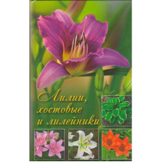 Лилии хостовые и лилейники