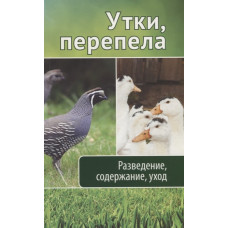 Утки перепела Разведение содержание уход