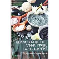 Березовый деготь глина грязи соль шунгит Все рецепты в одной книге Березовый деготь глина грязи соль шунгит Все рецепты в одной книге