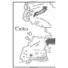 Throne of Glass