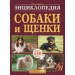 Большая энциклопедия. Собаки и щенки от А до Я
