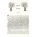 Жорстокий принц. Книга 1 Жорстокий принц. Книга 1