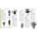 RHS Practical House Plant Book