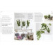RHS Practical House Plant Book