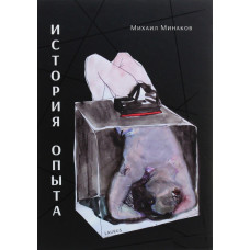 История опыта