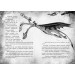 Як приручити дракона. Книжка 12. Як подолати гнів дракона Як приручити дракона. Книжка 12. Як подолати гнів дракона