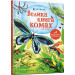 Велика книга комах