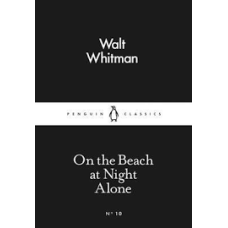 On the Beach at Night Alone