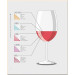 Wine Folly: A Visual Guide to the World of Wine Wine Folly: A Visual Guide to the World of Wine
