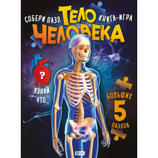 Тело человека
