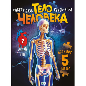 Тело человека Тело человека