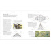 The Artist's Manual