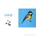 Birds (ENG) Birds (ENG)