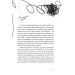 Зоряний кур'єр. Книга 1 Зоряний кур'єр. Книга 1