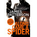 Along Came a Spider